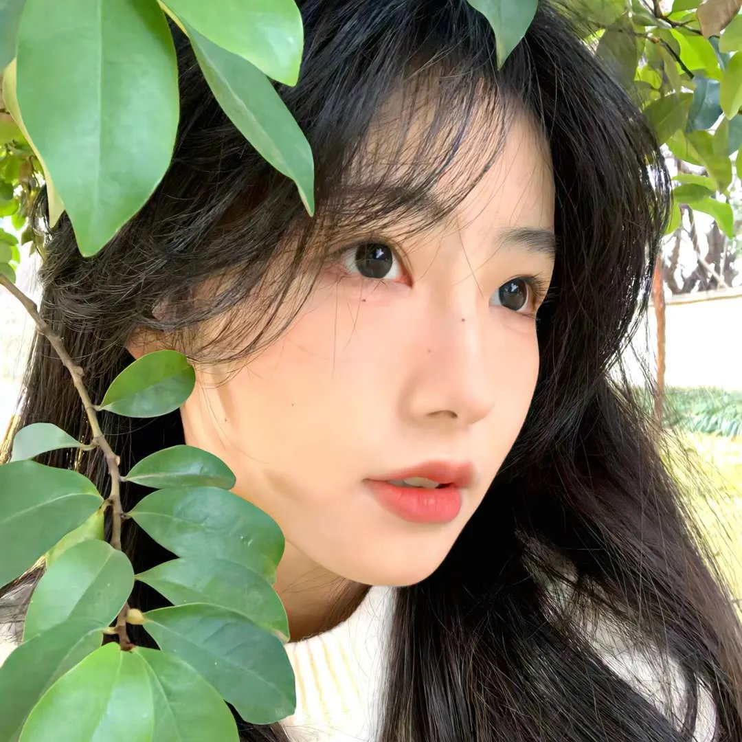 蝴蝶公墓